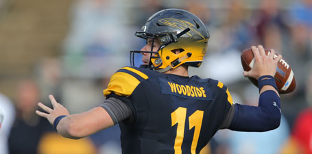 Quarterback preparing to throw the football